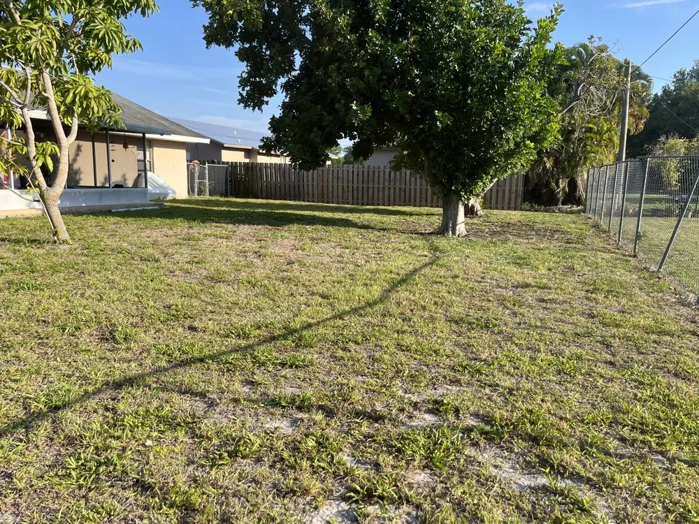 Professional yard maintenance in Fort Myers, FL by No Limits Home and Lawn