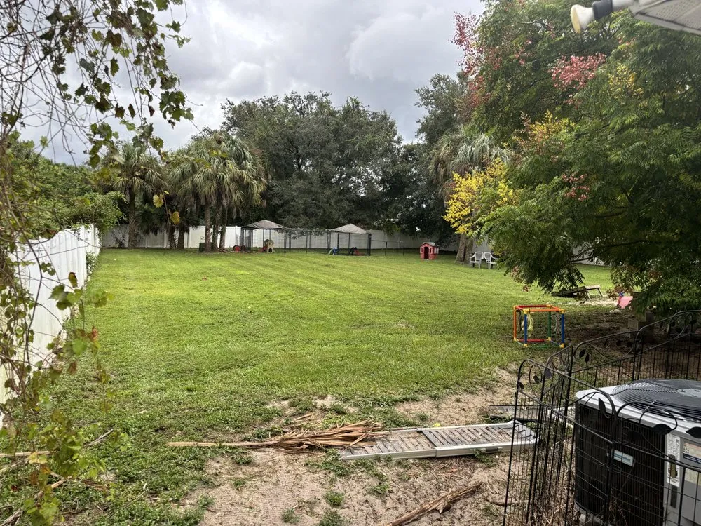 Professional residential landscaping in Fort Myers, FL by No Limits Home and Lawn