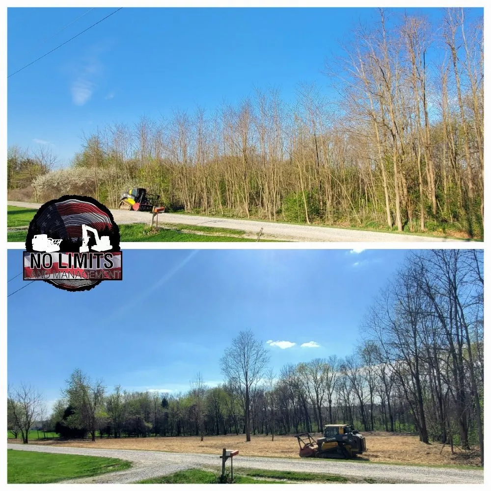 Professional outdoor landscaping for residential properties across Foristell, MO - No Limits Land Management