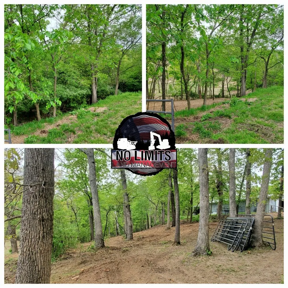 Affordable landscaping services for beautiful yards across Foristell, MO - No Limits Land Management