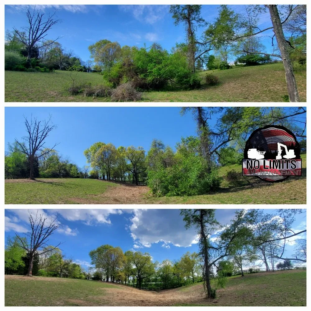 Reliable residential landscaping in Foristell, MO by No Limits Land Management