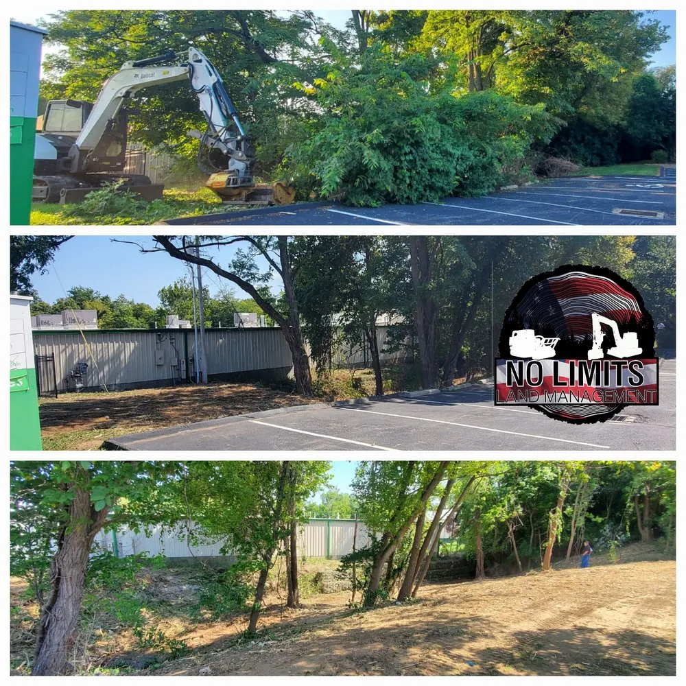 Professional yard cleanup service in Foristell, MO - No Limits Land Management