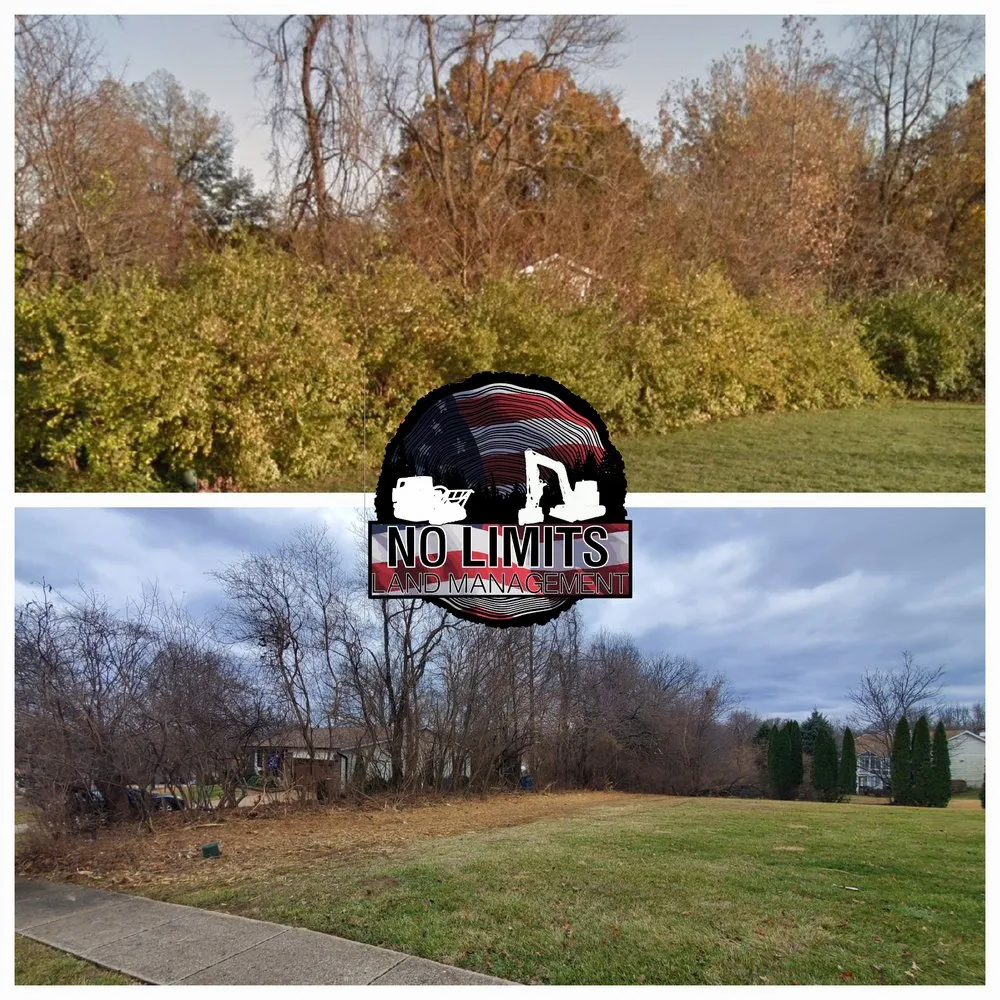 Custom lawn care service for year-round maintenance across Foristell, MO - No Limits Land Management