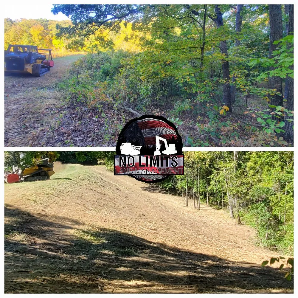 Trusted landscaping services in Foristell, MO - No Limits Land Management