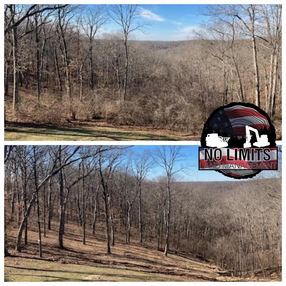 Custom residential landscaping experts serving Foristell, MO - No Limits Land Management