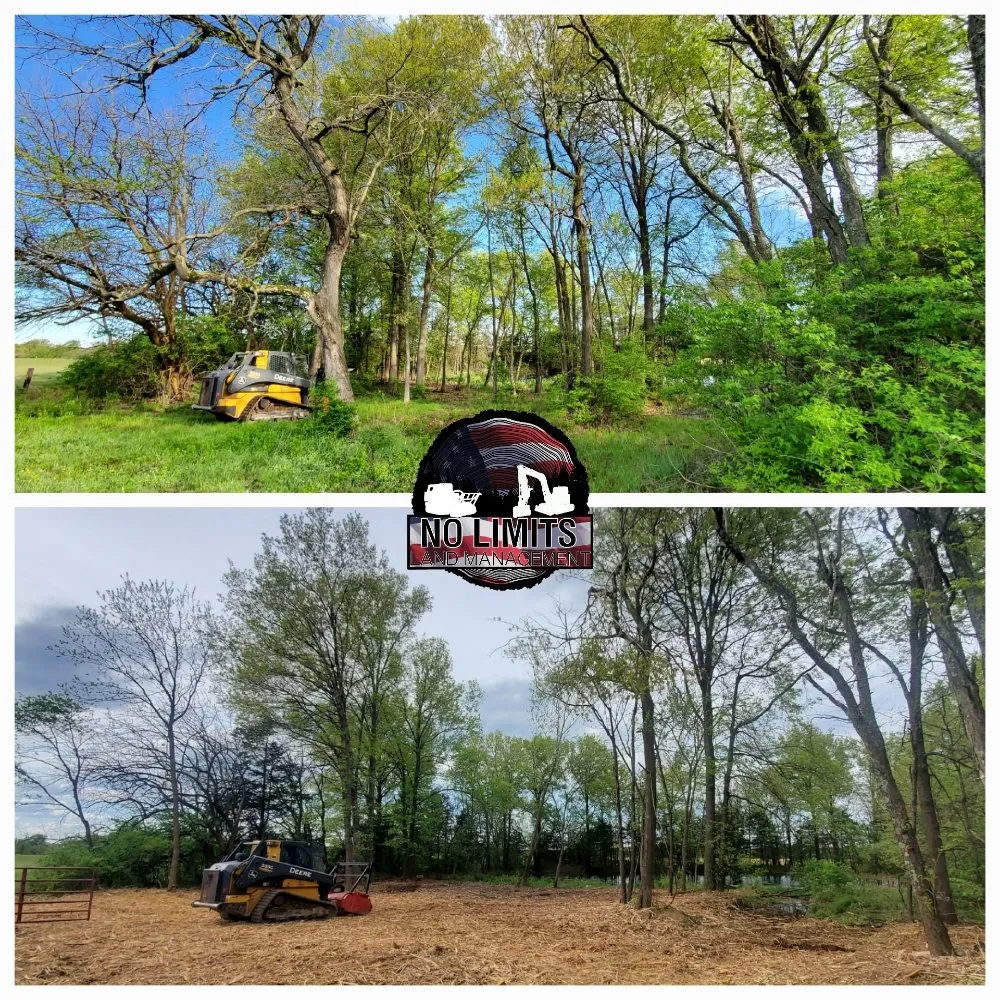 Custom yard maintenance for residential properties in Foristell, MO by No Limits Land Management