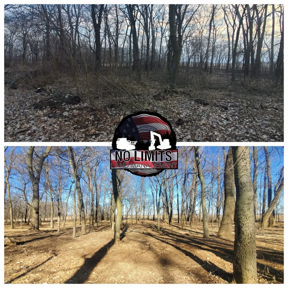 Custom residential landscaping in Foristell, MO by No Limits Land Management