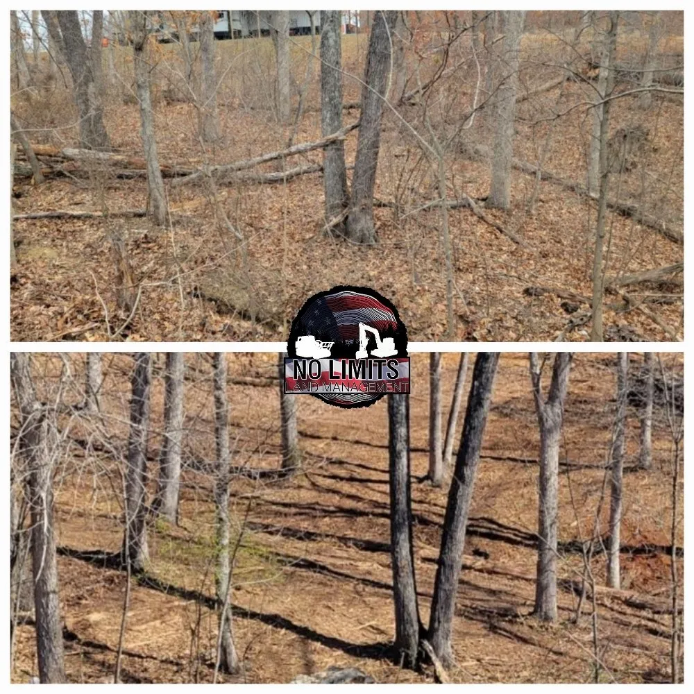 Affordable lawn care service in Foristell, MO - No Limits Land Management