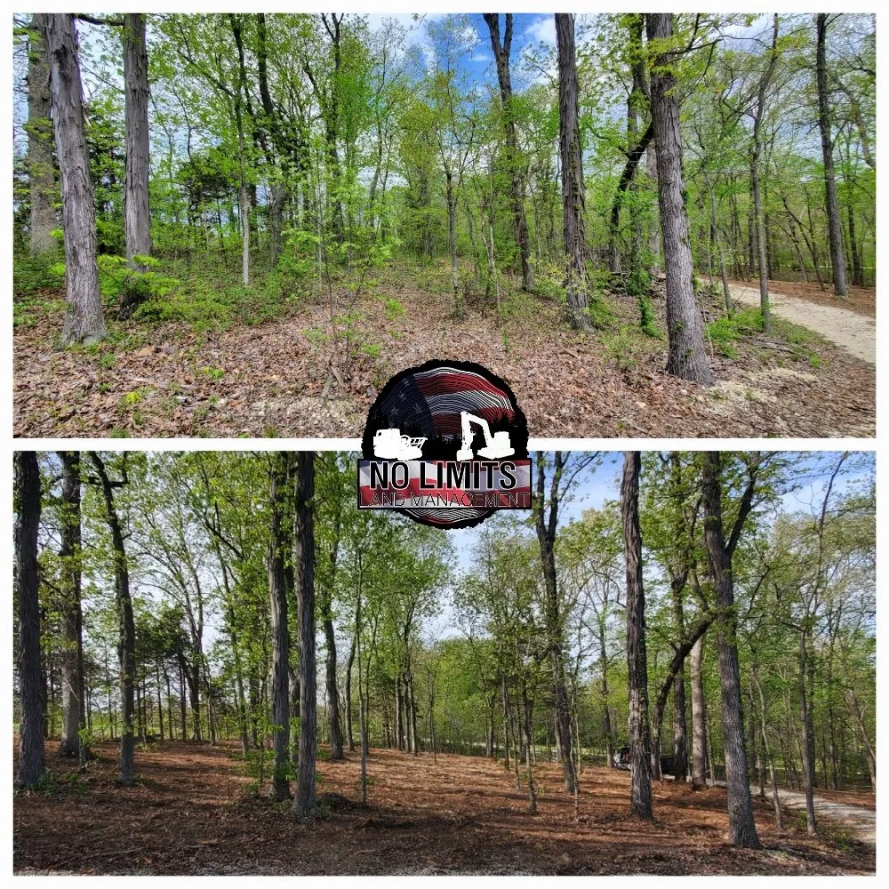 Top-rated landscape design for beautiful yards in Foristell, MO by No Limits Land Management