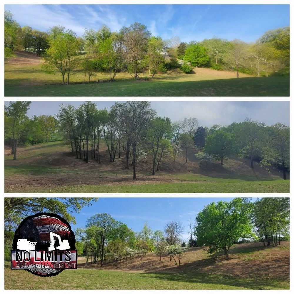 Affordable yard maintenance for beautiful yards in Foristell, MO by No Limits Land Management