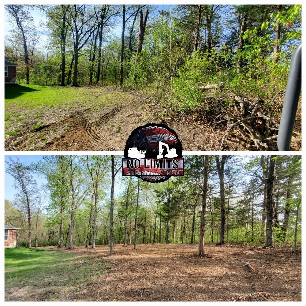 Top-rated landscape design for year-round maintenance in Foristell, MO by No Limits Land Management
