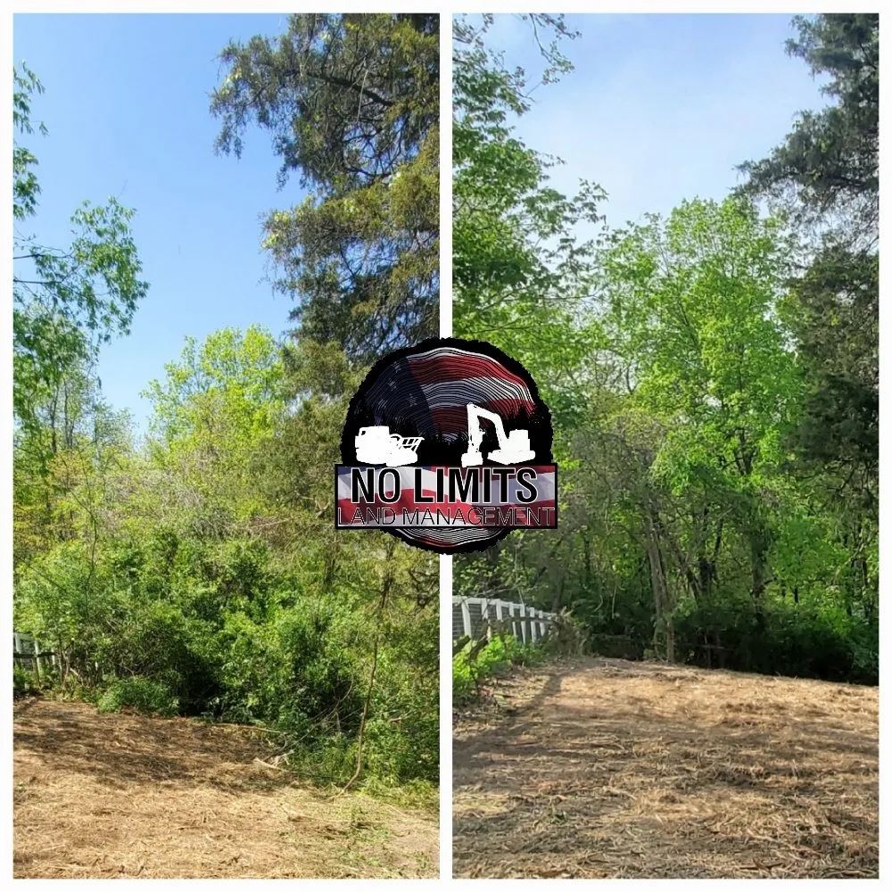 Professional lawn mowing service in Foristell, MO - No Limits Land Management
