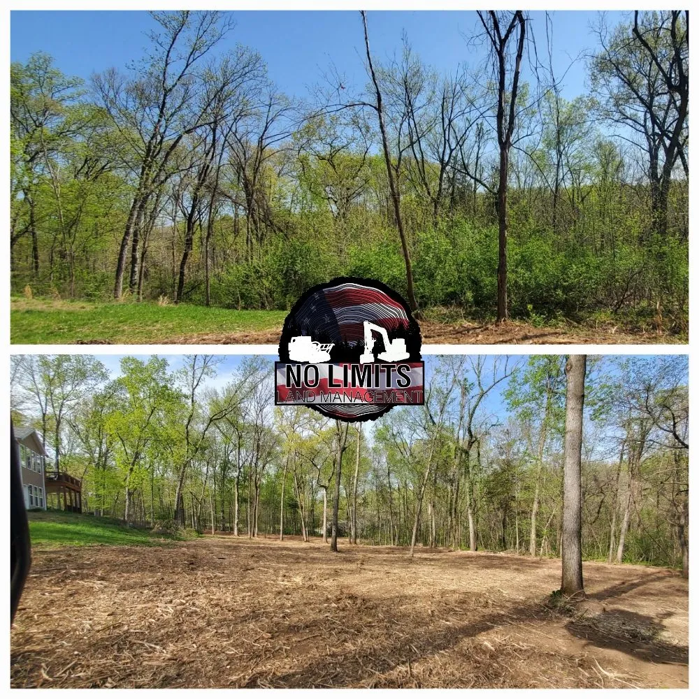 Expert landscape design for year-round maintenance in Foristell, MO by No Limits Land Management