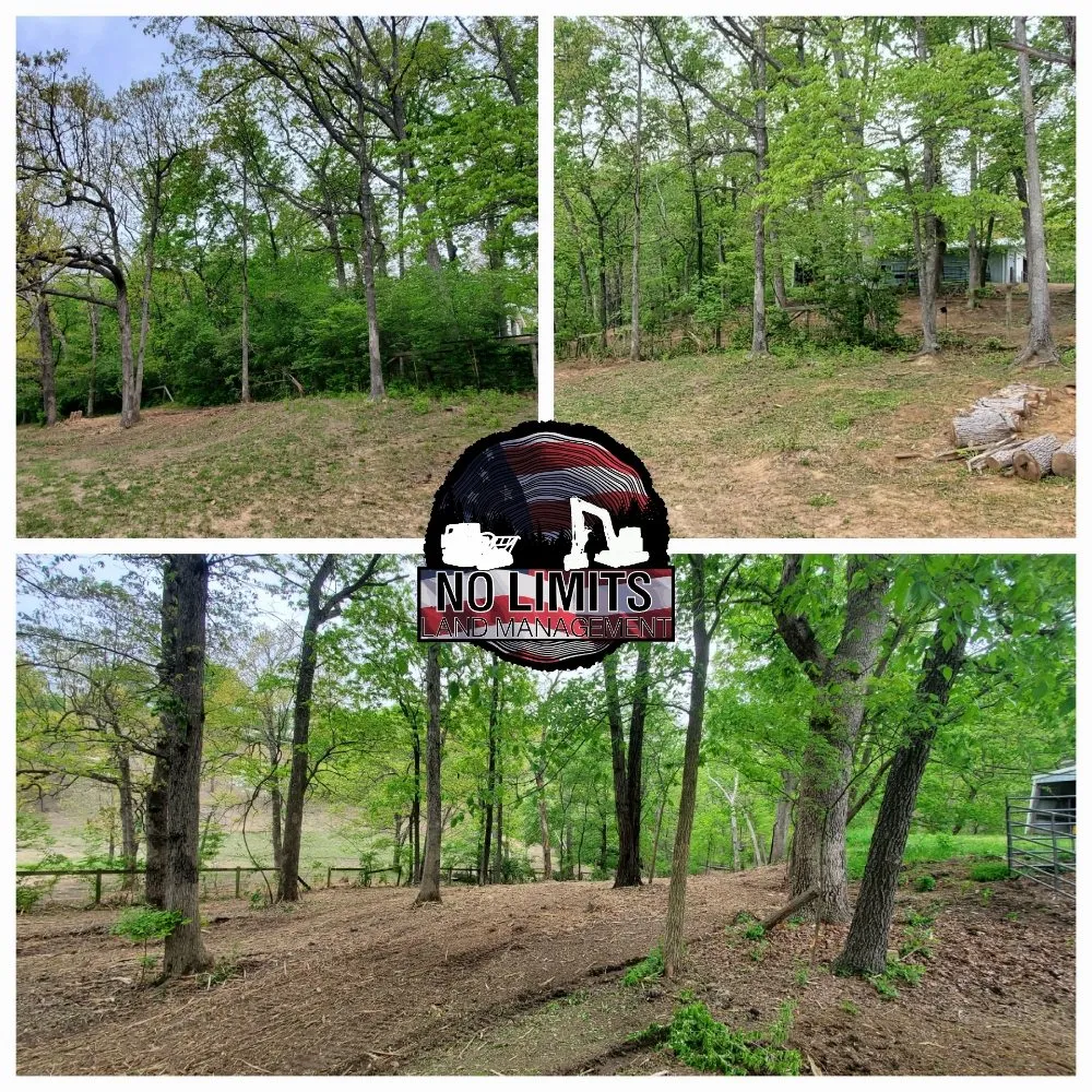 Professional landscaping services experts serving Foristell, MO - No Limits Land Management