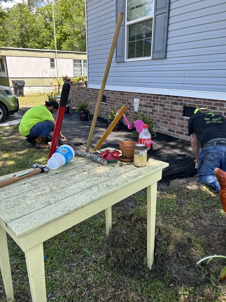 Professional landscape installation in Ocean Isle Beach, NC by No Limits Tree Removal