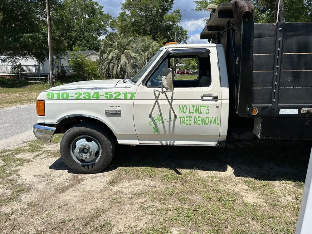 Professional landscape design in Ocean Isle Beach, NC - No Limits Tree Removal