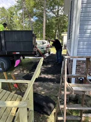 No Limits Tree Removal