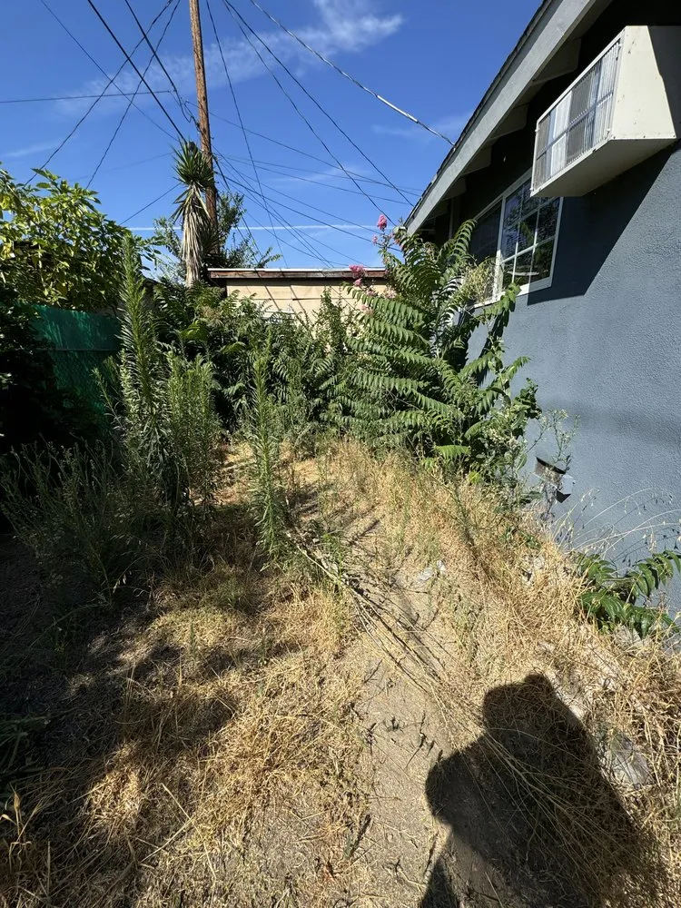 Reliable lawn mowing service in Los Angeles, CA by No Limits Tree Service and Land Care