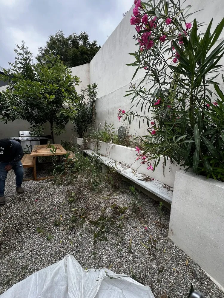 Custom landscape installation for year-round maintenance across Los Angeles, CA - No Limits Tree Service and Land Care