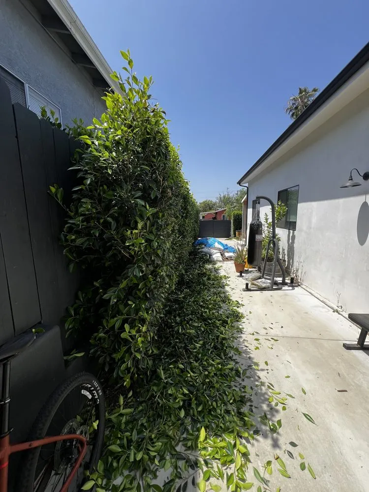 Top-rated garden landscaping for beautiful yards in Los Angeles, CA by No Limits Tree Service and Land Care