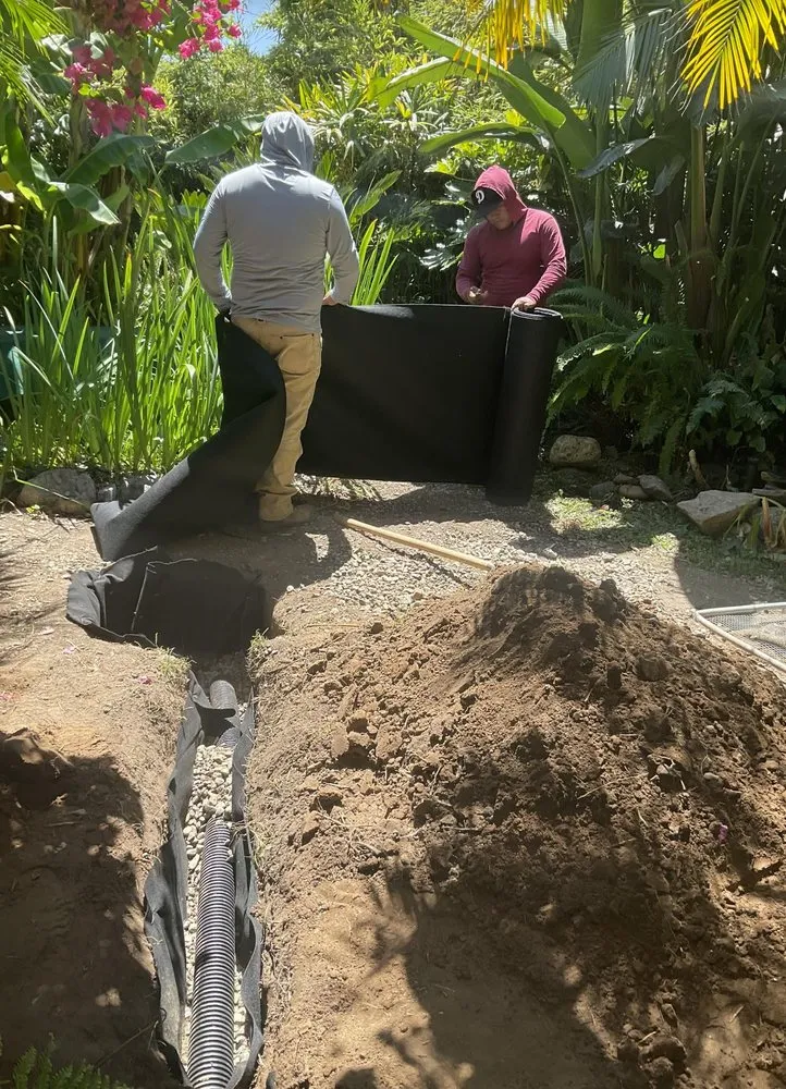 Custom landscaping services experts serving Los Angeles, CA - No Limits Tree Service and Land Care