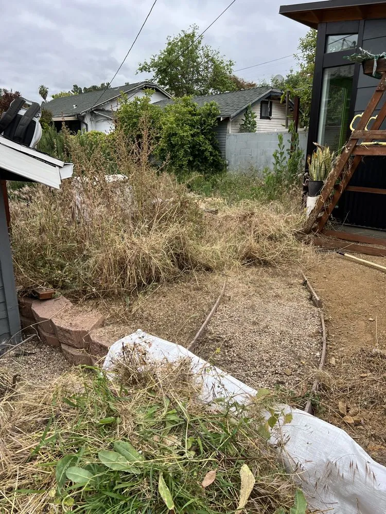 Professional residential landscaping in Los Angeles, CA by No Limits Tree Service and Land Care