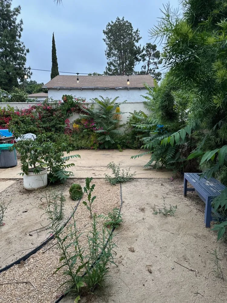 Local landscaping services in Los Angeles, CA - No Limits Tree Service and Land Care