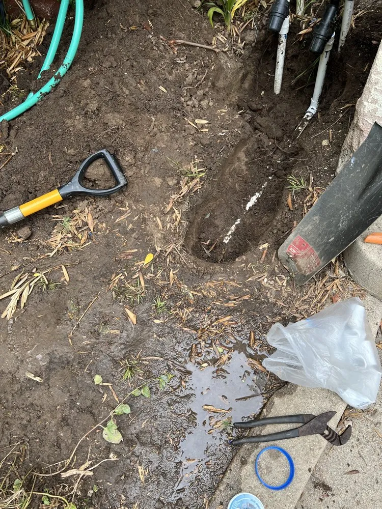 Expert landscaping services experts serving Los Angeles, CA - No Limits Tree Service and Land Care