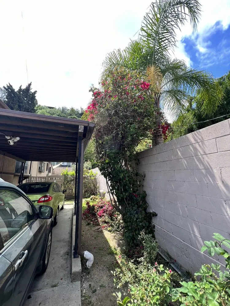 Top-rated garden landscaping experts serving Los Angeles, CA - No Limits Tree Service and Land Care