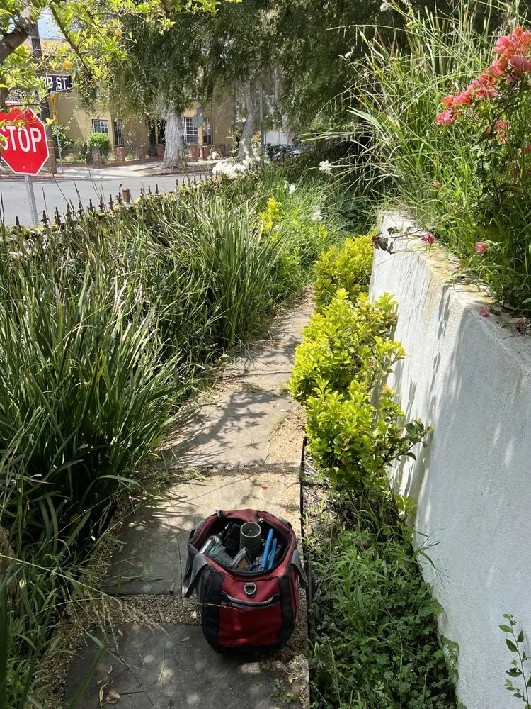 Reliable residential landscaping experts serving Los Angeles, CA - No Limits Tree Service and Land Care