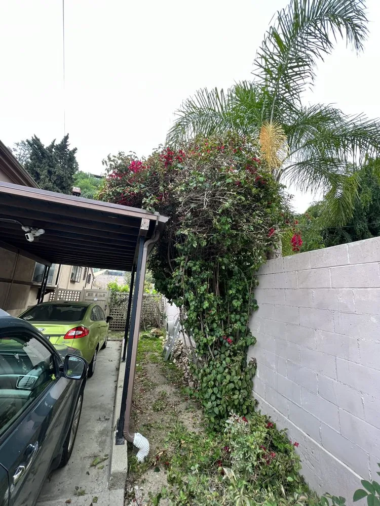 Trusted garden landscaping for year-round maintenance in Los Angeles, CA by No Limits Tree Service and Land Care