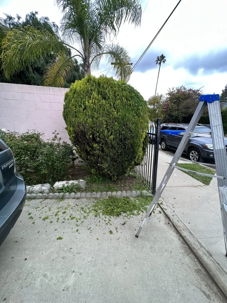 Top-rated landscape installation experts serving Los Angeles, CA - No Limits Tree Service and Land Care