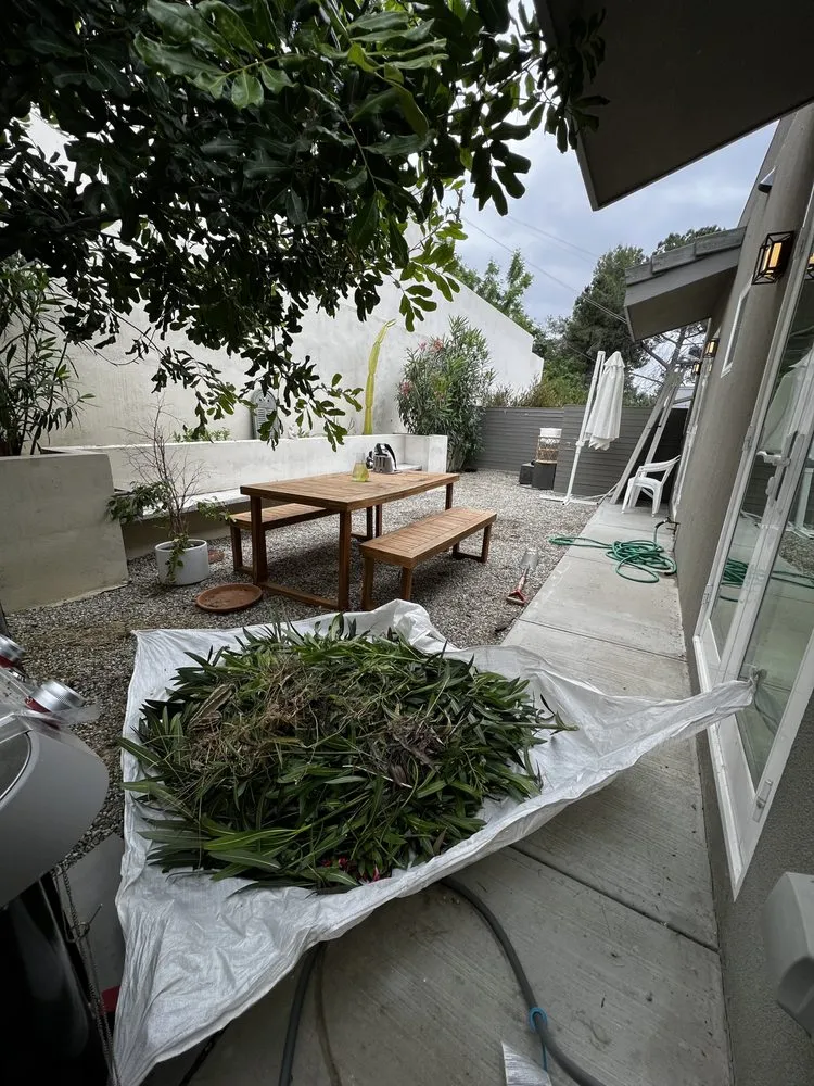 Expert lawn care service for beautiful yards in Los Angeles, CA by No Limits Tree Service and Land Care