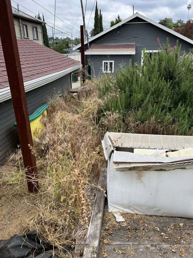 Expert yard maintenance in Los Angeles, CA - No Limits Tree Service and Land Care