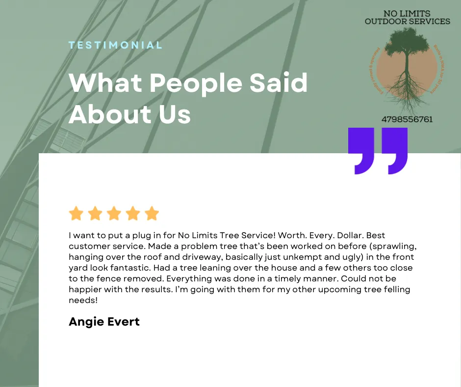 Local residential landscaping in Centerton, AR - No Limits Tree Service