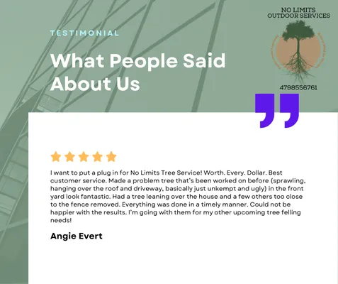 No Limits Tree Service Logo