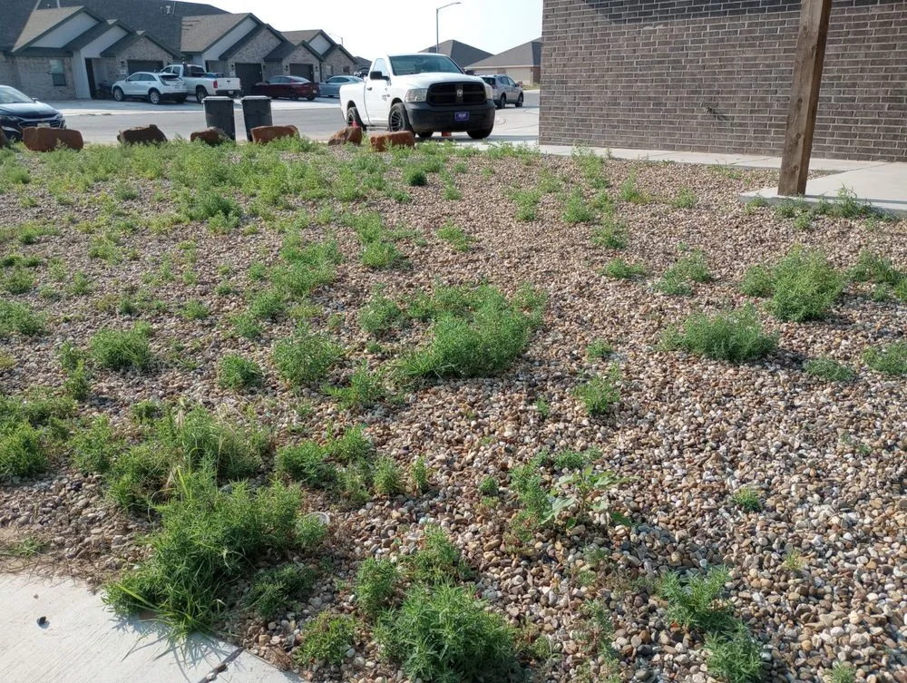 Trusted landscape installation in Lubbock, TX - No Little Miss's Lawncare and More