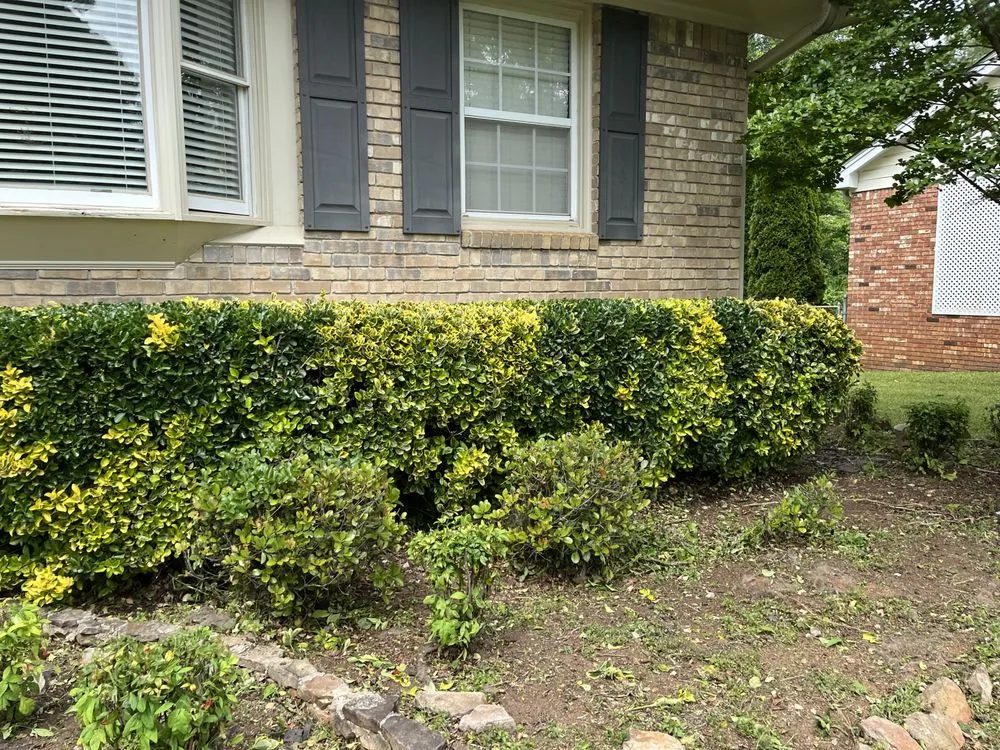 Top-rated landscape design in Smyrna, GA by No “Mo” Grass Lawn Care