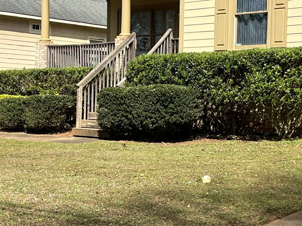 Top-rated yard cleanup service in Smyrna, GA by No “Mo” Grass Lawn Care