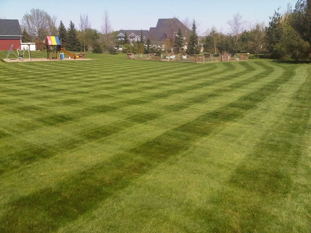 Expert yard maintenance in White Bear Lake, MN by No Mow No Snow Landscapes