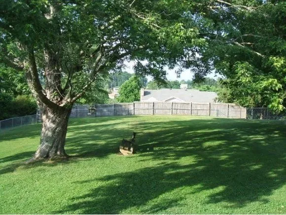 Reliable landscape design in Bristol, TN by No Mow Worries