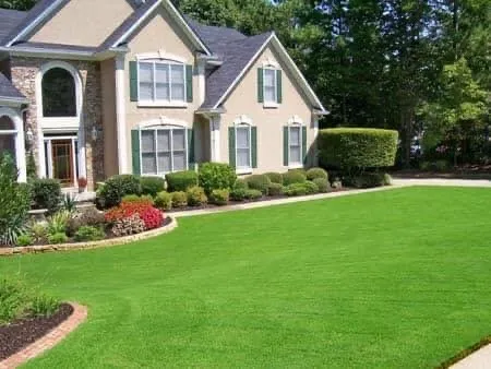 Professional landscaping services in Bristol, TN - No Mow Worries