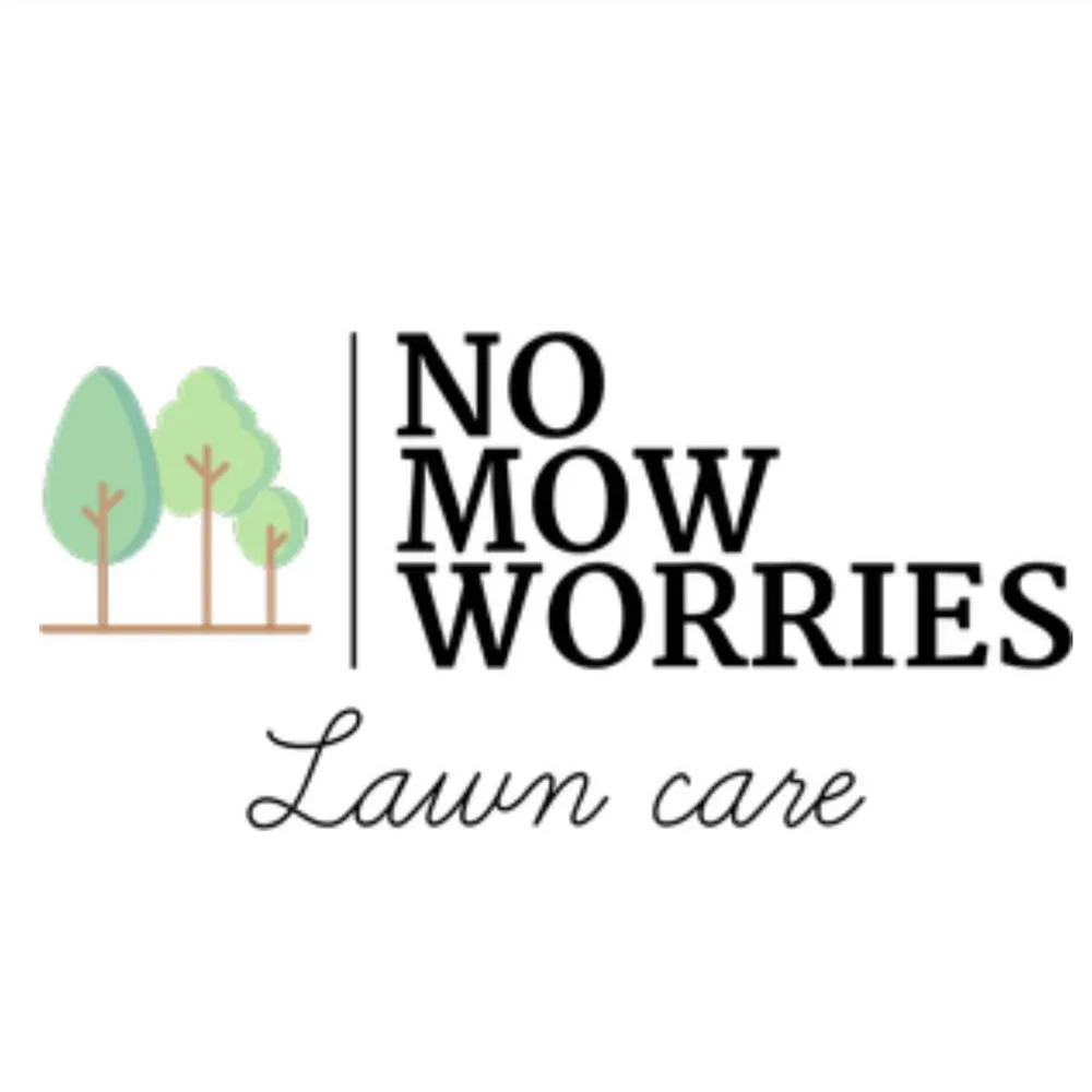 Expert landscape design in Bristol, TN - No Mow Worries