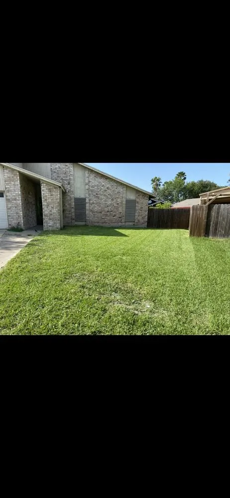 Expert outdoor landscaping in CORP CHRISTI, TX by No Mow Worries