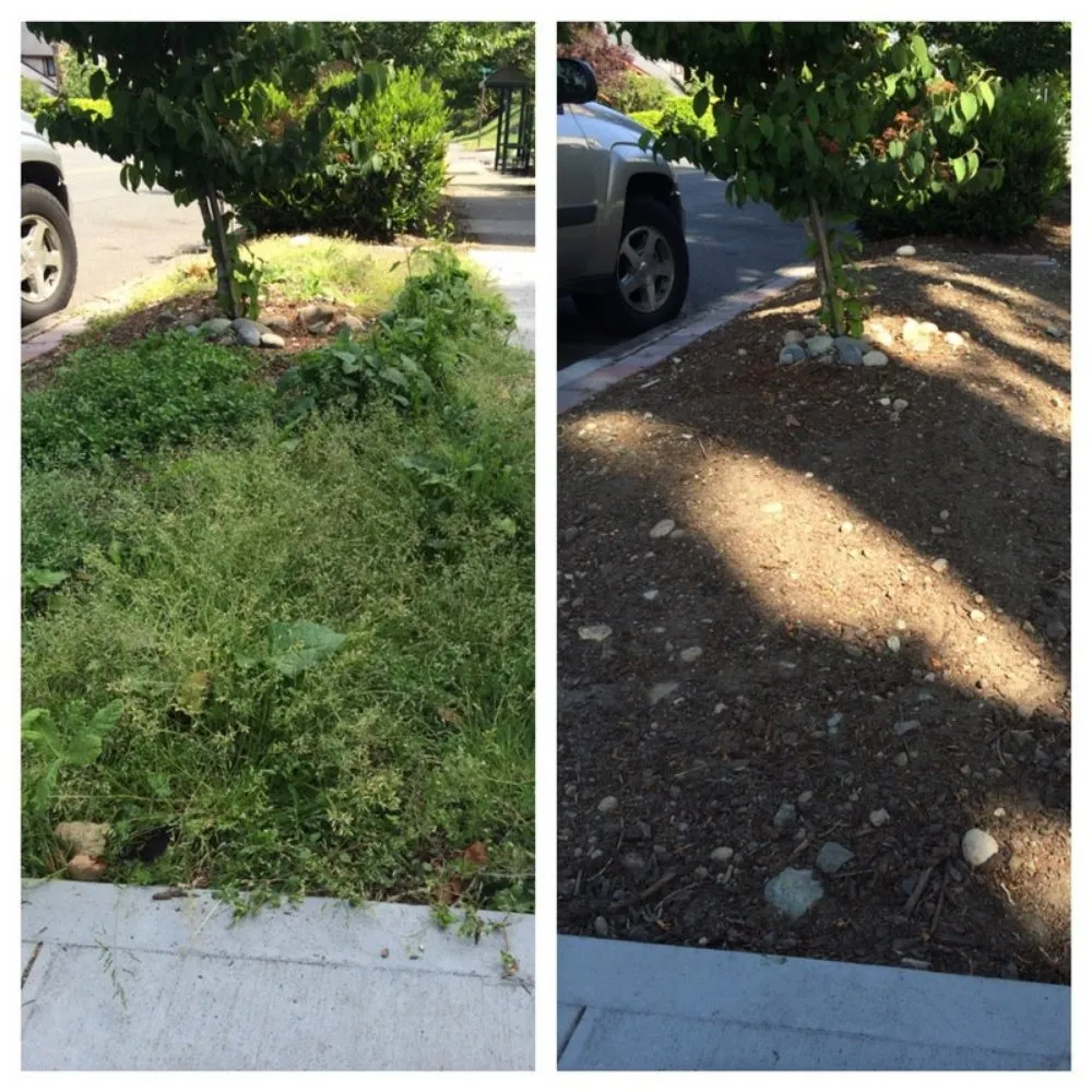 Reliable garden landscaping for outdoor upgrades across Pueblo, CO - No Mow Worries Landscaping & Handyman Services