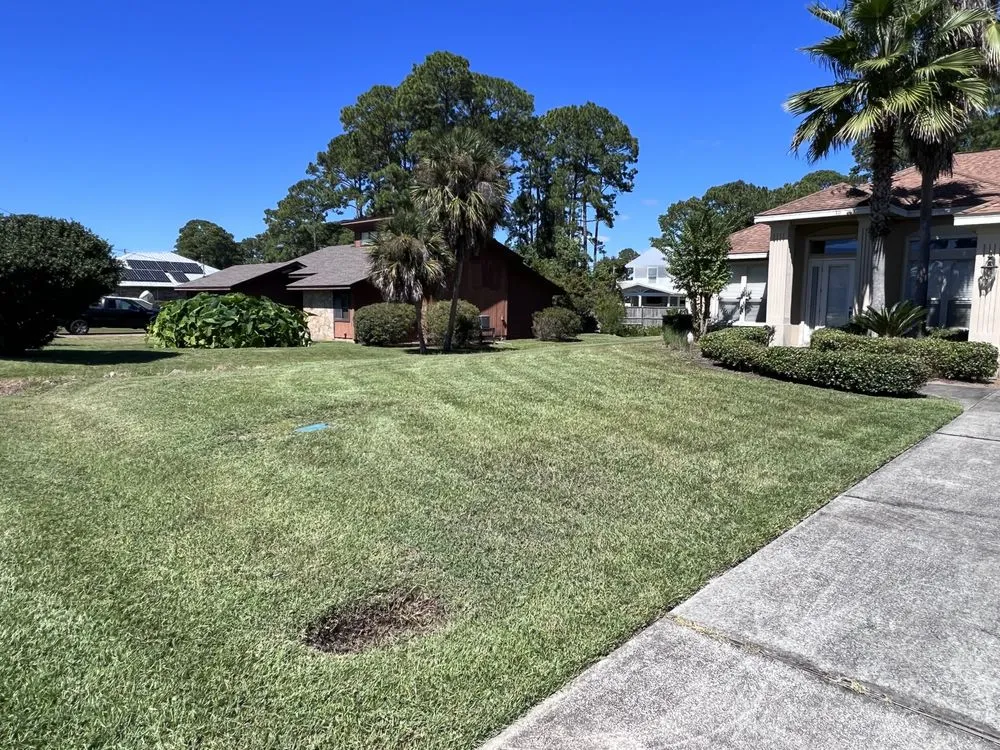 Professional yard cleanup service in Santa Rosa Beach, FL - No Mow Worries Landscaping and Design
