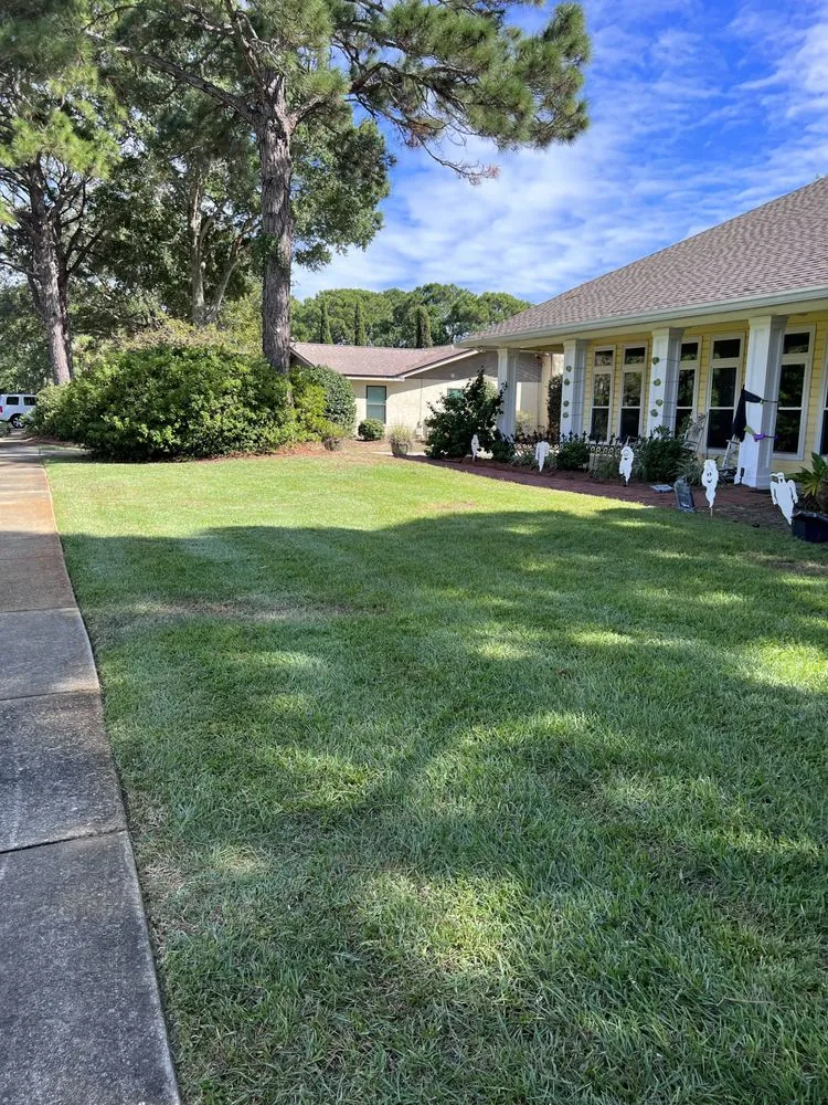 Affordable outdoor landscaping in Santa Rosa Beach, FL by No Mow Worries Landscaping and Design
