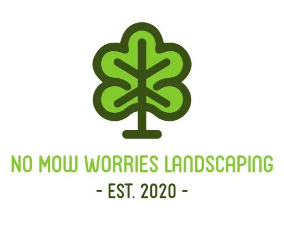 Expert yard maintenance in Fairview, TX by No Mow Worries Landscaping