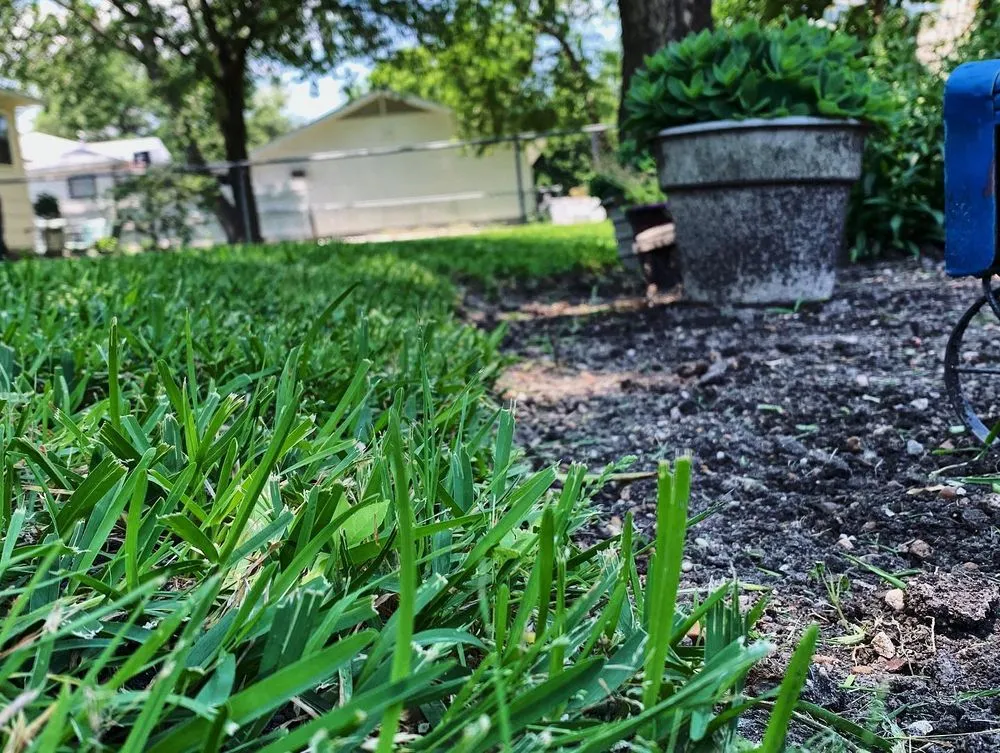 Trusted yard maintenance with custom design across Fairview, TX - No Mow Worries Landscaping