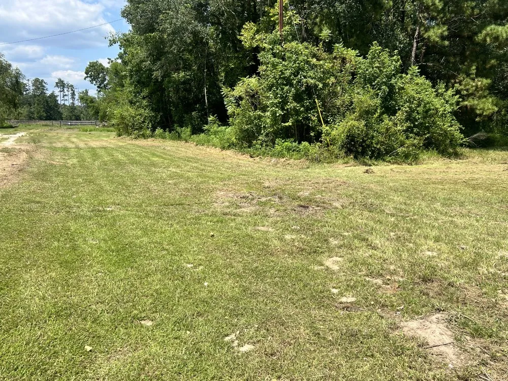 Local landscape design in Kountze, TX by No Mow Worries Landscaping